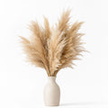 Boho dried pampas grass in cream ceramic vase